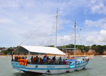 Praia da Pipa limita passeios de barco para ver golfinhos; o que muda?