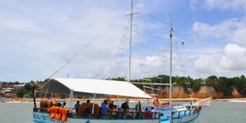 Praia da Pipa limita passeios de barco para ver golfinhos; o que muda?