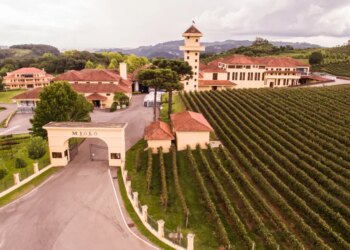 5 vinícolas para visitar na Serra Gaúcha