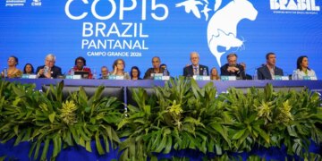 ONU: 40 novas espécies migratórias receberão proteção internacional