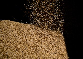 Importações chinesas de soja dos EUA despencam; desembarques brasileiros saltam