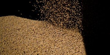 Importações chinesas de soja dos EUA despencam; desembarques brasileiros saltam