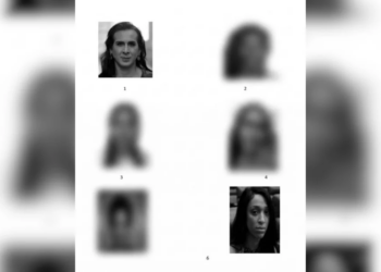 Polícia usa fotos de Duda Salabert e Erika Hilton em álbum de suspeitos em Pernambuco