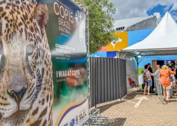 Brasil sedia encontro mundial sobre proteção de espécies migratórias