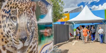 Brasil sedia encontro mundial sobre proteção de espécies migratórias