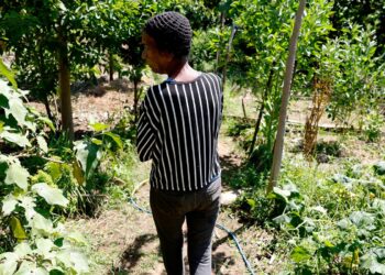 Horta comunitária reúne memória, cuidado e cidadania em favela do Rio