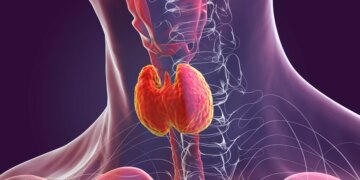 Endocrinologista revela se cuscuz pode beneficiar a saúde da tireoide