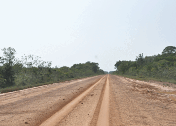 Amazônia: Justiça autoriza o Dnit a reativar licitações para obras da BR-319