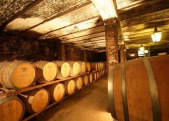 5 vinícolas perto de Montevidéu e Punta del Este