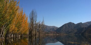 Como é visitar Mendoza no outono, a “estação dourada”