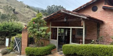 Cunha destaca pratos com pinhão em festival gastronômico