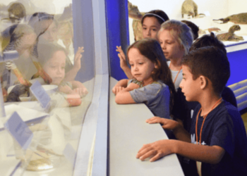 Dicas na hora de levar crianças ao museu