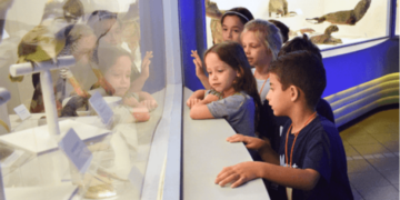 Dicas na hora de levar crianças ao museu