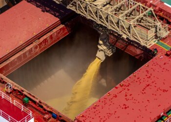 Exportação de soja do Brasil salta 12,5% na média diária do mês e aponta para recorde