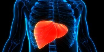 Hepatologista explica como suplementos de cúrcuma afetam o fígado