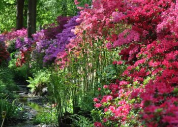 Londres troca o cinza por um festival de cores na primavera