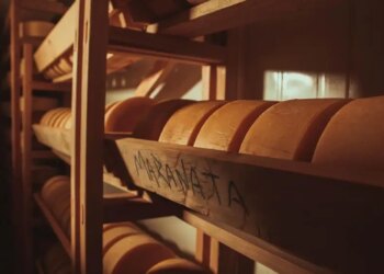 Queijarias para visitar na Serra da Mantiqueira, em Minas Gerais