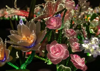 São Paulo: Nova exposição transforma Farol Santander em jardim iluminado