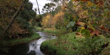 Vale a pena visitar a Serra Gaúcha no outono?