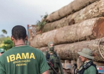 Comissão da Câmara aprova uso de câmeras corporais pelo ICMBio e do Ibama