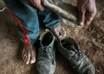 Amado Batista e BYD são incluídos em lista de trabalho escravo do MTE