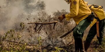 Caso de calor extremo no Brasil em 2023-2024 ilustra riscos para segurança alimentar