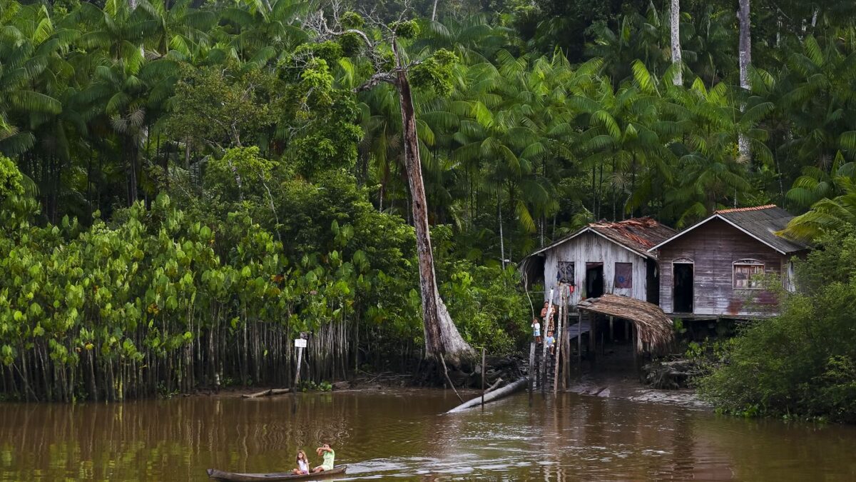 Projeto leva tratamento gratuito a doenças negligenciadas no Amazonas