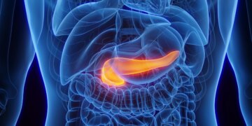 Endocrinologista cita consequências dos picos de glicose ao pâncreas