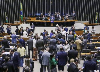 Câmara aprova Medida Provisória com novas regras para seguro-defeso