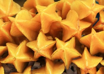 Fruta refrescante ajuda na hidratação, mas não é indicada para todos