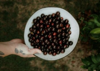 Fruta se destaca pela ação antioxidante e beneficia a saúde vascular