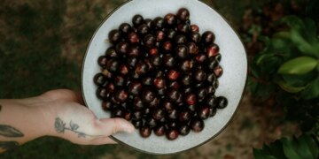 Fruta se destaca pela ação antioxidante e beneficia a saúde vascular