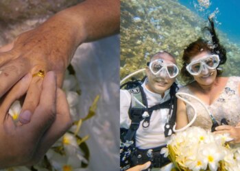 Casal transforma paixão por mergulho em casamento subaquático