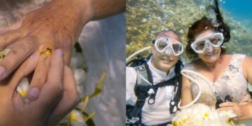 Casal transforma paixão por mergulho em casamento subaquático