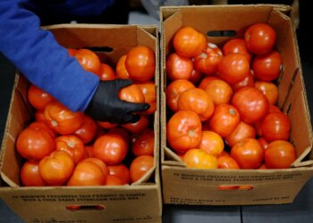 Cenário de ‘tempestade perfeita’ para alimentos preocupa e é risco também para 2027