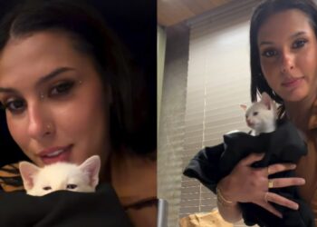 Ana Castela apresenta novo pet e dispara: ‘Agora que sou mãe’