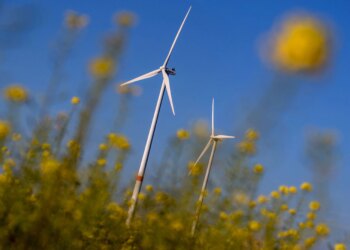 Governo dos EUA cita “segurança nacional” para suspender projetos de energia eólica