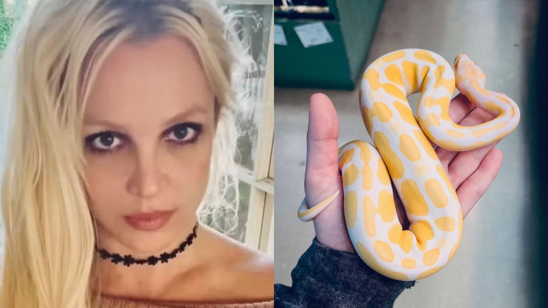 Britney Spears quebra o silêncio após sentença e celebra "bênção disfarçada" em nova fase espiritual: "Jornada sem fim"