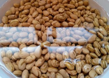 Nutricionista explica o que fazer com a água do remolho do feijão