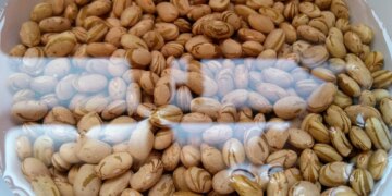 Nutricionista explica o que fazer com a água do remolho do feijão