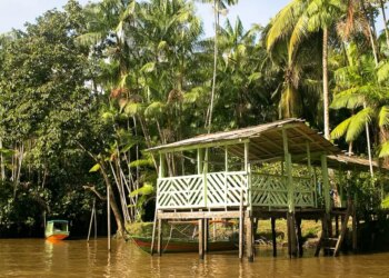 Ilha do Combu é imersão na floresta para quem visita Belém