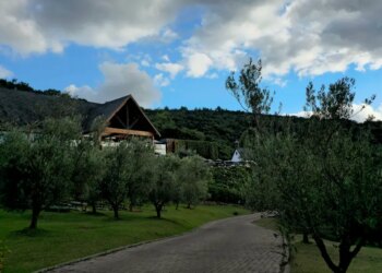 Olivas de Gramado: como é a visita ao parque na Serra Gaúcha