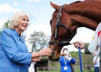Rainha Camilla encerra agenda nos EUA com visita especial a cavalos na Virgínia