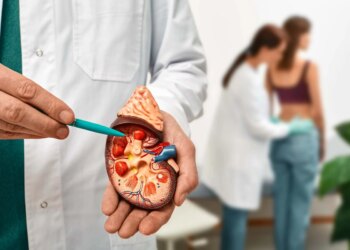 Problemas nos rins? 5 frutas populares e seguras para a saúde do órgão