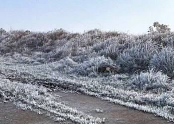 Santa Catarina registra temperaturas negativas em cidades da serra