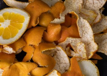 O que acontece quando você ferve casca de laranja em casa