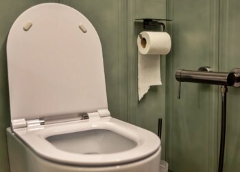 Mais sujos que a privada? Veja objetos comuns que acumulam bactérias