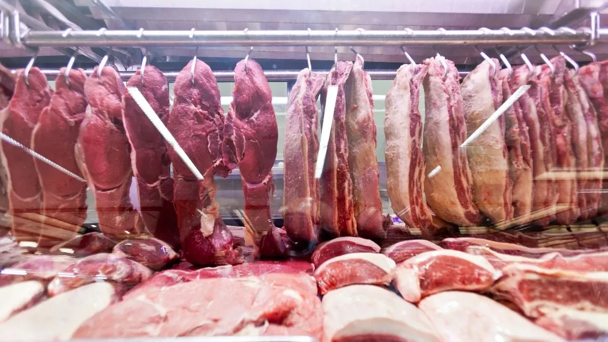 Boi, frango, peixe ou porco: nutri revela qual carne é mais proteica