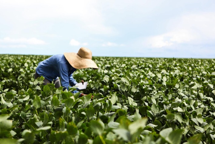 AMAGGI inicia projeto piloto de agricultura regenerativa para medir sustentabilidade na soja
