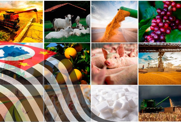 Agro paulista registra superávit de US$ 8,37 bilhões e amplia exportações em 2026